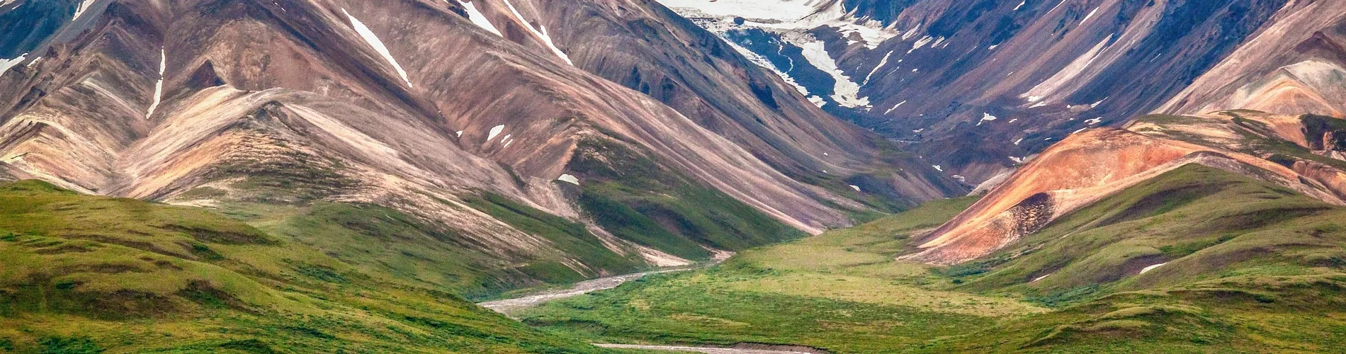 Vista destacada de GRANDES PARQUES DE ALASKA 2026