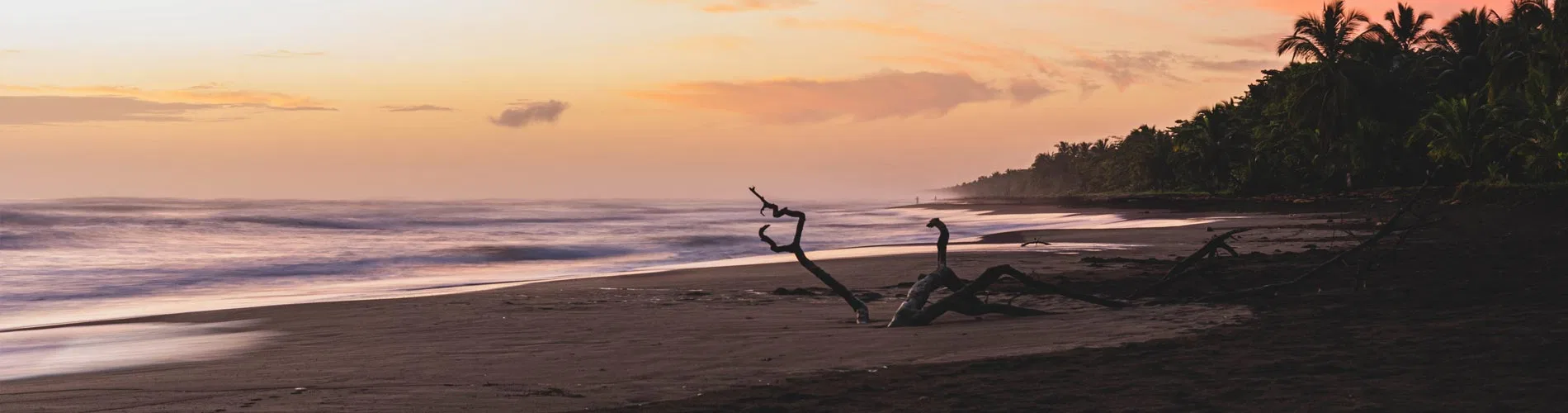 Vista destacada de COSTA RICA Y SU AUTÉNTICO CARIBE