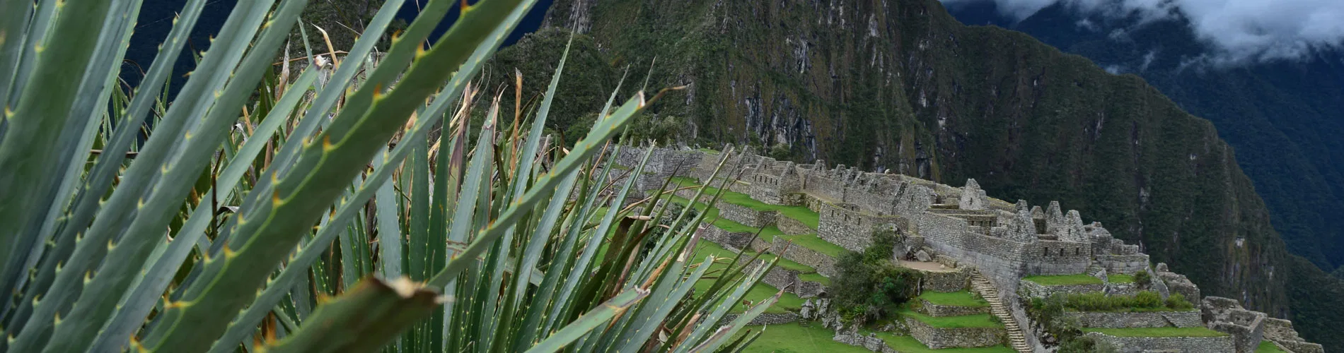 Vista destacada de LO MEJOR DE PERÚ DESDE MONTERREY