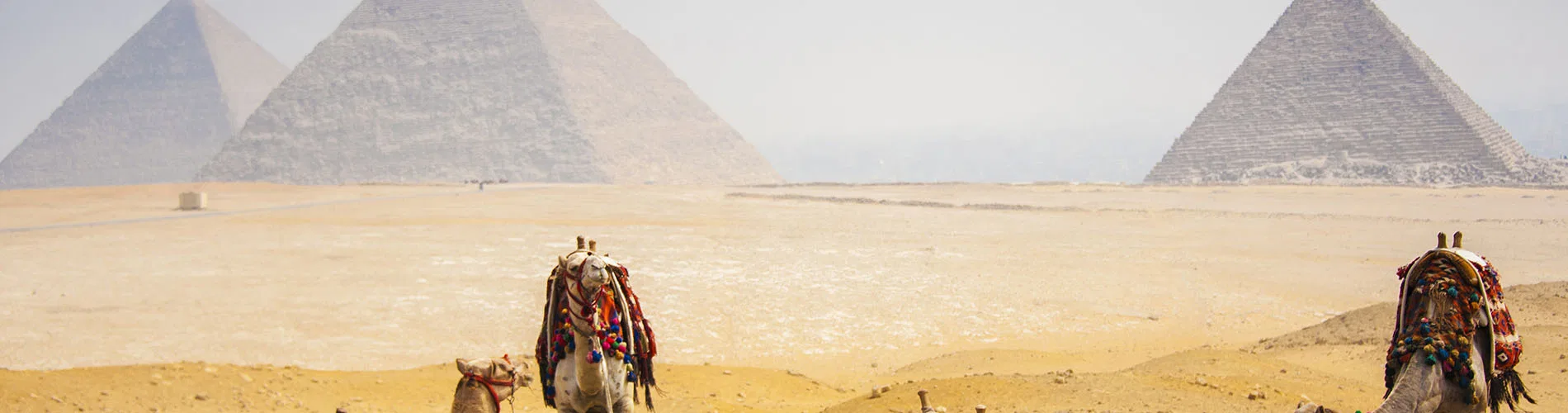 Vista destacada de EGIPTO A TU ALCANCE II