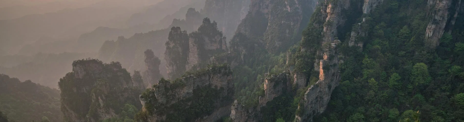 Vista destacada de DINASTÍA CHINA II