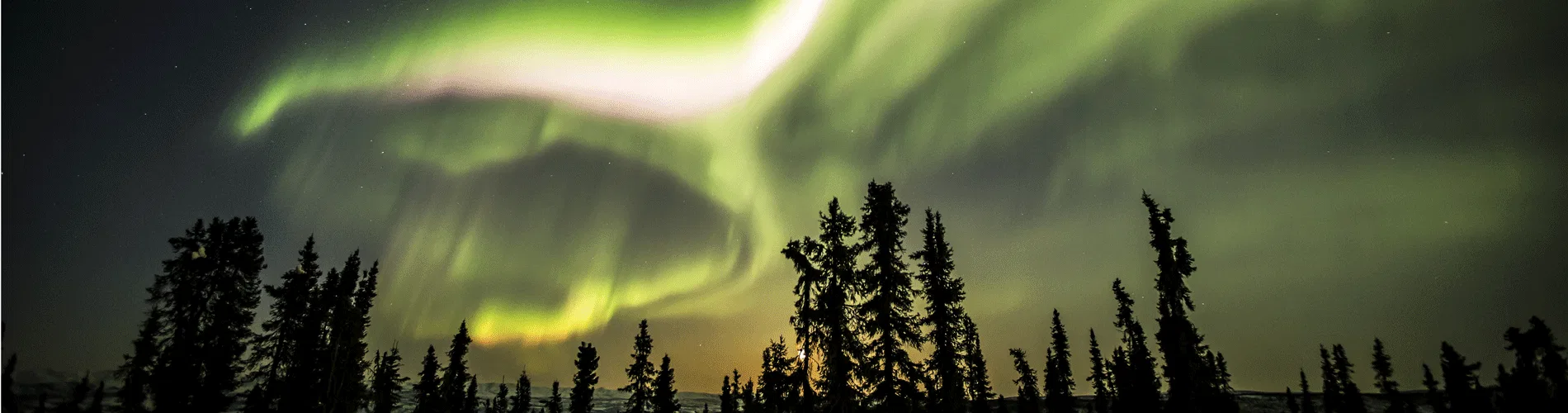 Vista destacada de AURORAS BOREALES EN WHITEHORSE 2026