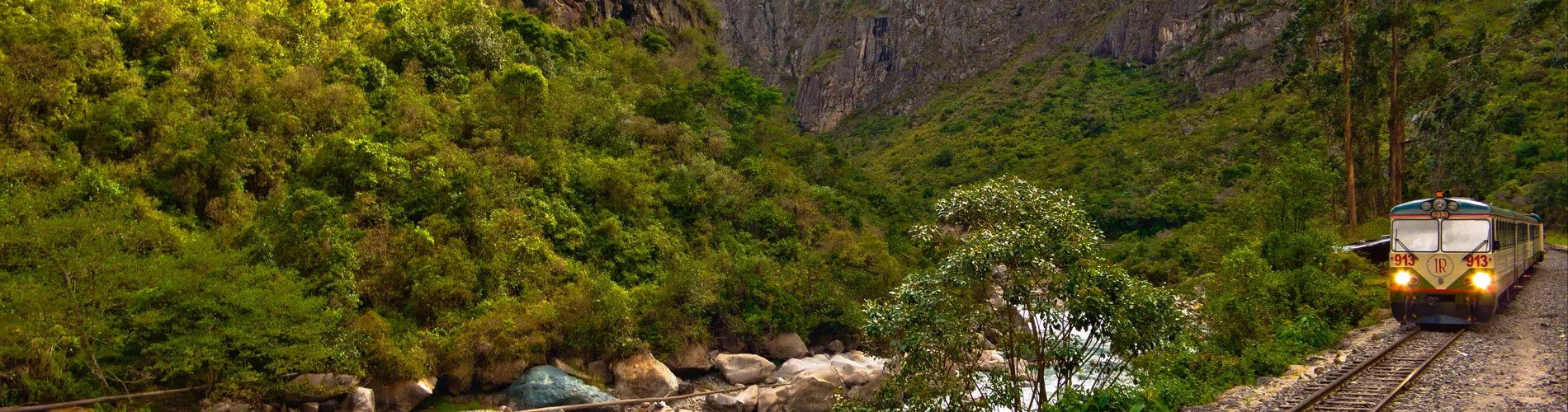 Vista destacada de CRUCERO DELFÍN III, POR LA AMAZONÍA PERUANA