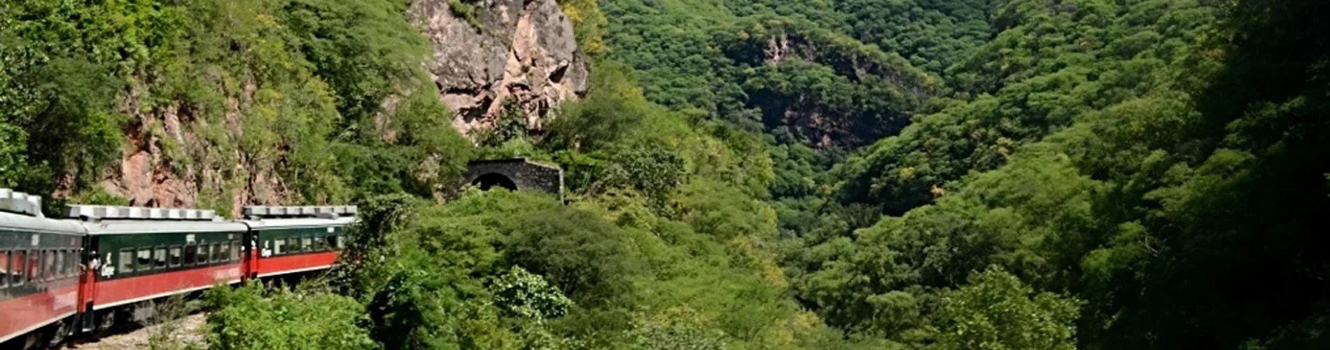 Vista destacada de NATURALEZA EN LAS BARRANCAS