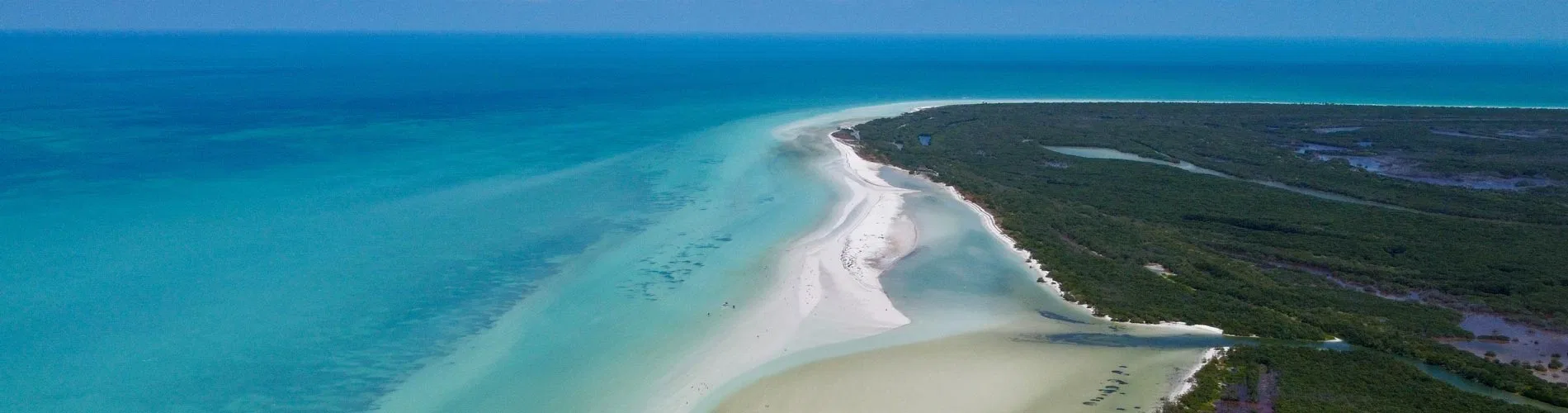 Vista destacada de DESCUBRIENDO LA MAGIA DE HOLBOX