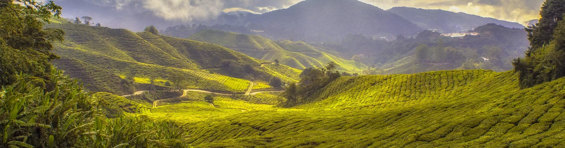 Vista destacada de MALASIA CLÁSICA
