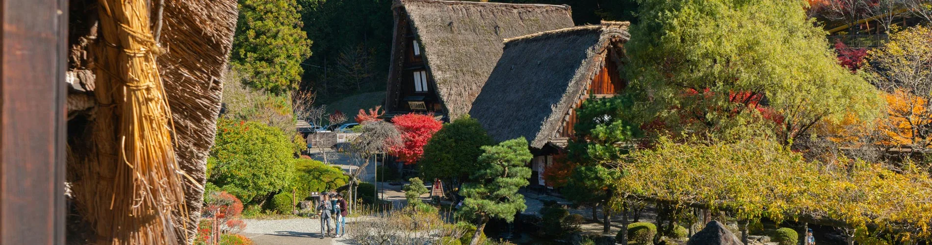 Vista destacada de ENCANTOS DE JAPÓN