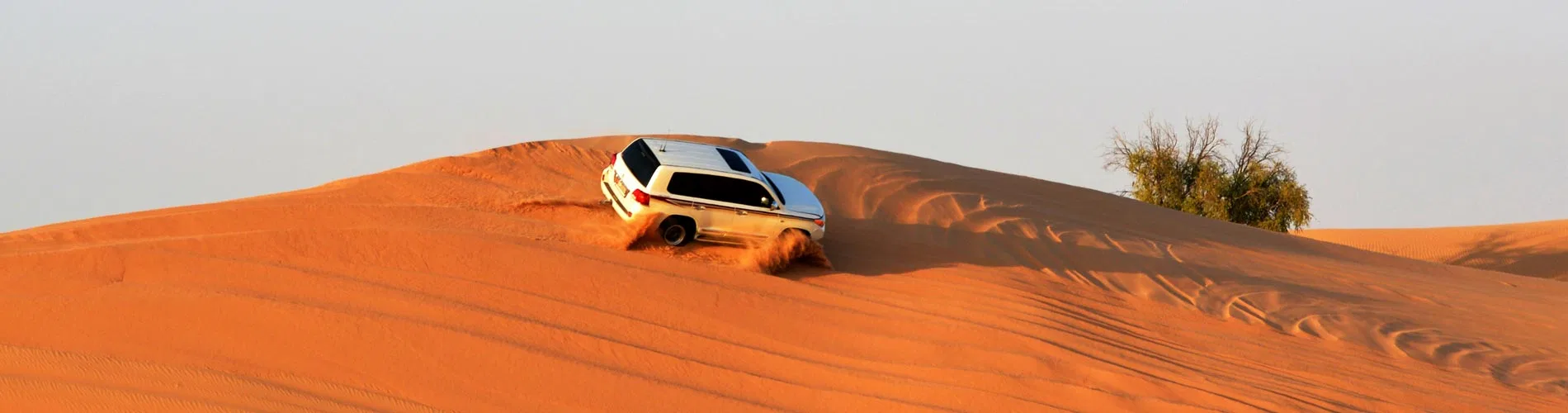 Vista destacada de DUBÁI: PARQUES Y DESIERTO