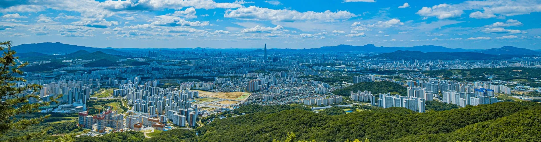 Vista destacada de JAPÓN Y COREA DEL SUR