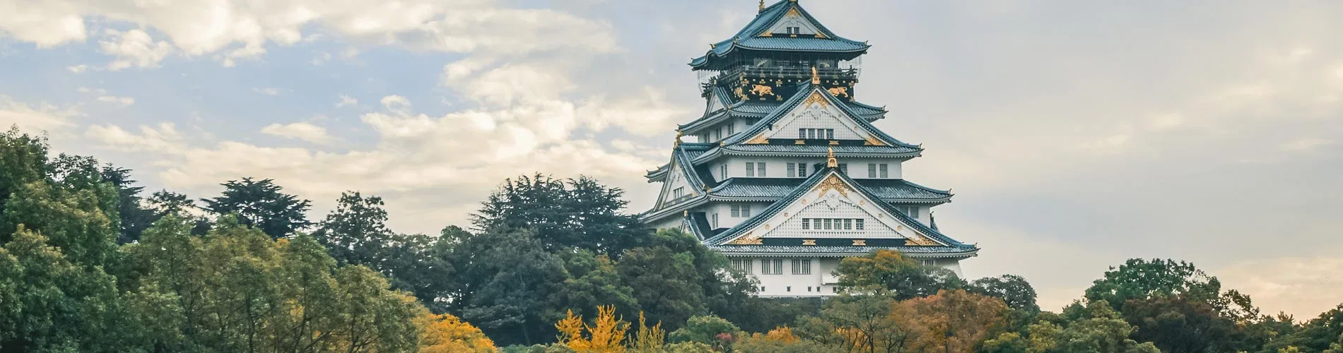 Vista destacada de LO MEJOR DE JAPÓN