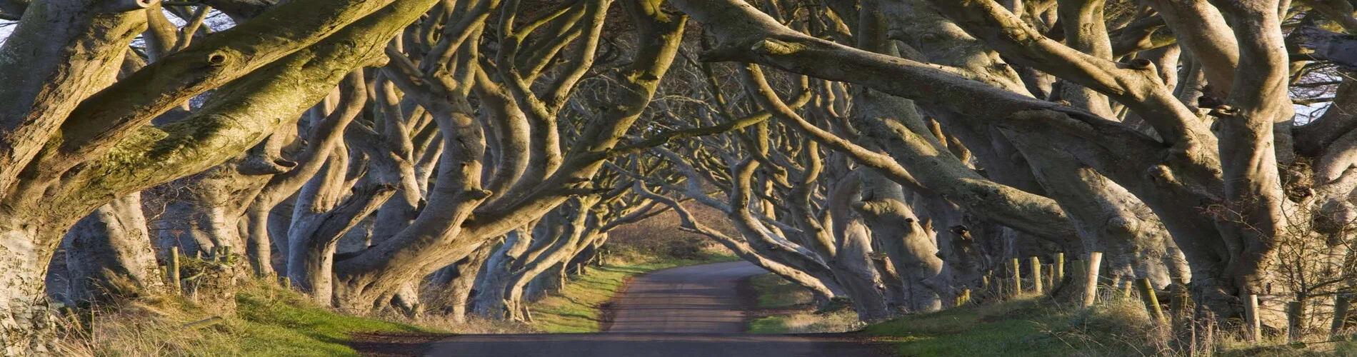 Vista destacada de GRAN TOUR DE LAS ISLAS BRITÁNICAS 2026