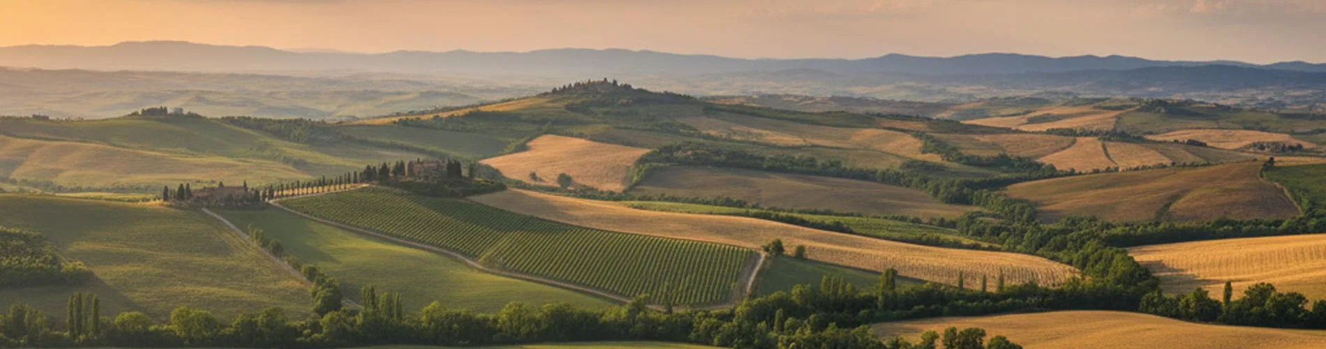 Vista destacada de ISLAS GRIEGAS Y LA TOSCANA