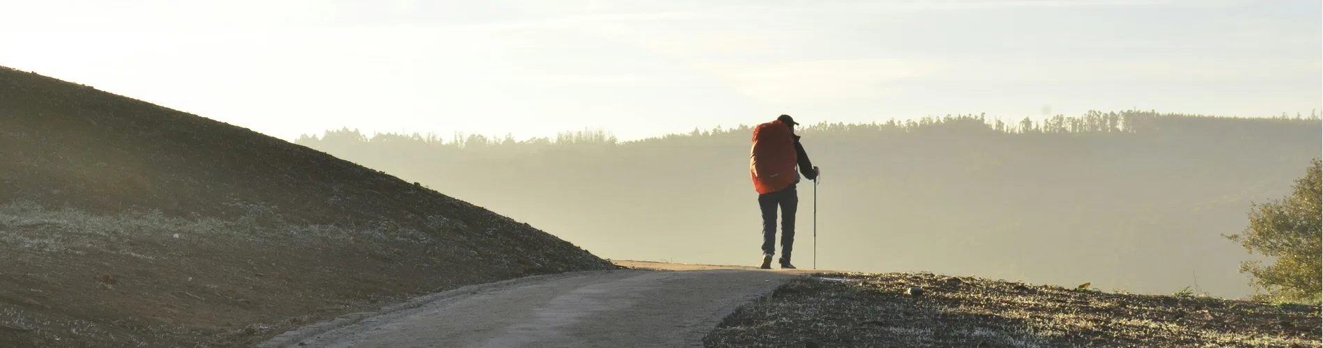 Vista destacada de EL CAMINO DE SANTIAGO “CAMINO FRANCÉS” 2026