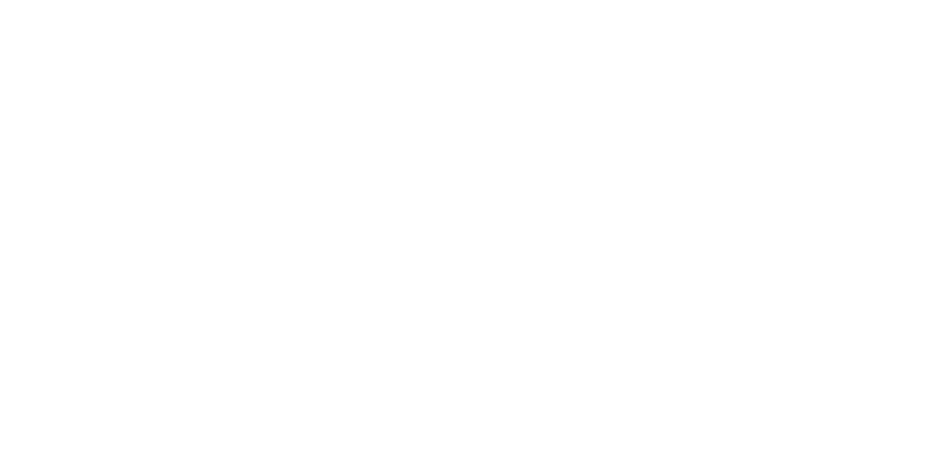 Turkish Airlines