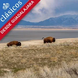 Destino relacionado con EXPLORANDO SALT LAKE CITY 2027 DESDE GUADALAJARA