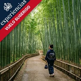 Destino relacionado con ENCANTOS DE JAPÓN II CON VUELO DESDE SAN DIEGO