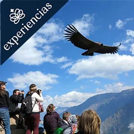 Destino relacionado con EXPEDICIÓN EN EL SUR DE PERÚ
