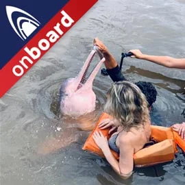 Destino relacionado con EXPLORA BRASIL Y NAVEGA POR EL RÍO AMAZONAS