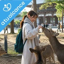 Destino relacionado con JAPÓN A TU ALCANCE
