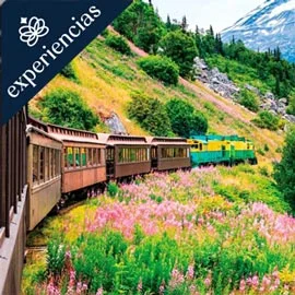 Destino relacionado con ALASKA POST CRUCERO 2026