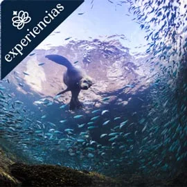 Destino relacionado con AVENTURA EN BAJA CALIFORNIA SUR
