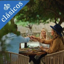 Destino relacionado con VIÑEDOS Y PLAYA EN BREVE