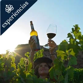 Destino relacionado con ENSENADA Y VALLES VINÍCOLAS