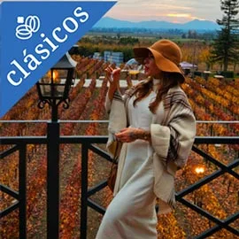 Destino relacionado con SANTIAGO, VALLES VINÍCOLAS, VIÑA DEL MAR Y VALPARAÍSO