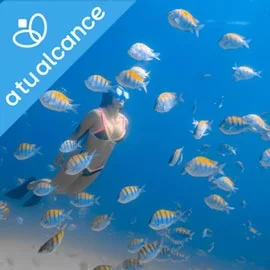 Destino relacionado con EXPERIENCIA EN LOS CABOS Y LA PAZ