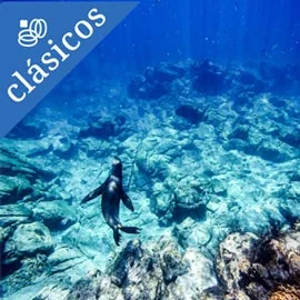 Destino relacionado con MAZATLÁN Y LA PAZ AUTÉNTICO
