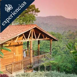 Destino relacionado con AROMAS Y BELLEZAS NATURALES  EN CHIAPAS