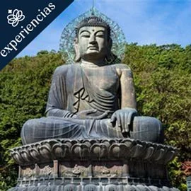 Destino relacionado con GRAN TOUR DE COREA DEL SUR