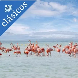Destino relacionado con DESCUBRIENDO LA MAGIA DE HOLBOX