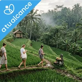 Destino relacionado con DESCUBRE BALI