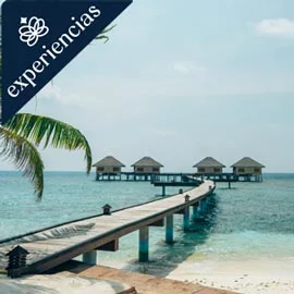 Destino relacionado con MALDIVAS (Hotel Adaaran Prestige Vadoo)
