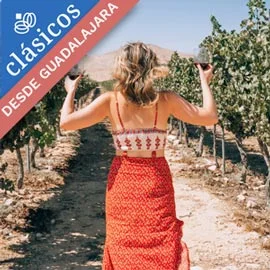 Destino relacionado con RUTA DEL VINO EN BAJA CALIFORNIA  DESDE GUADALAJARA