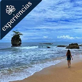 Destino relacionado con COSTA RICA, NATURALEZA Y PLAYAS DEL SUR
