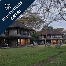 Destino relacionado con KENIA Y CATARATAS VICTORIA