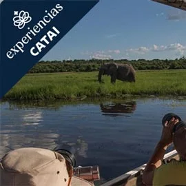 Destino relacionado con SECRETOS DEL SUR DE ÁFRICA
