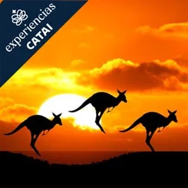 BELLEZAS DE AUSTRALIA