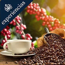 Destino relacionado con PURA VIDA: CON AROMA A CAFÉ, SABORES Y RELAJACIÓN