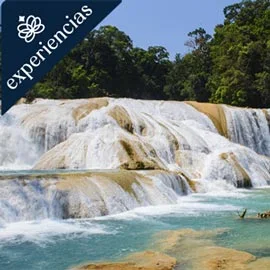 Destino relacionado con CORAZÓN MAYA EN TREN ( DE CHIAPAS A CAMPECHE)