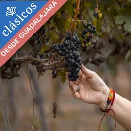 Destino relacionado con SANTIAGO, VALLES VINICOLAS, VIÑA DEL MAR Y VALPARAISO DESDE  GUADALAJARA