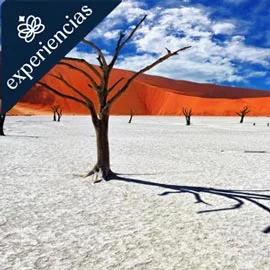 BELLEZAS DE NAMIBIA 2026