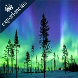 Destino relacionado con ENCANTOS DE NAVIDAD 2026