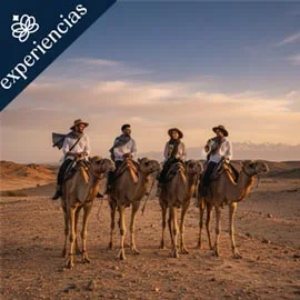 Destino relacionado con MARRUECOS ESENCIAL