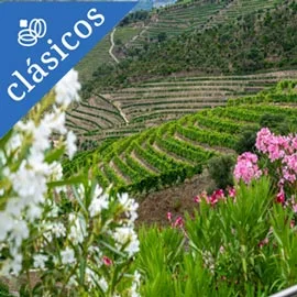 Destino relacionado con PORTUGAL ETERNO 2026 - 2027
