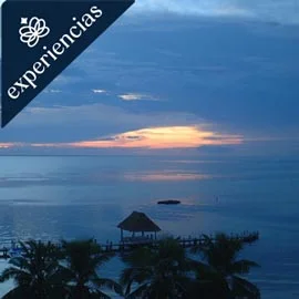 Destino relacionado con TESOROS DEL CARIBE MEXICANO