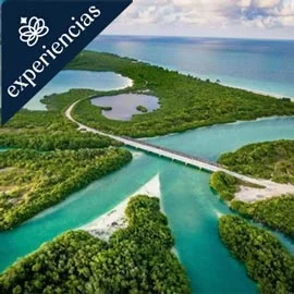 Destino relacionado con LA RUTA DEL PARAISO: DE BACALAR A HOLBOX