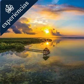 Destino relacionado con NATURALEZA VIVA EN CARIBE MÉXICANO Y YUCATÁN